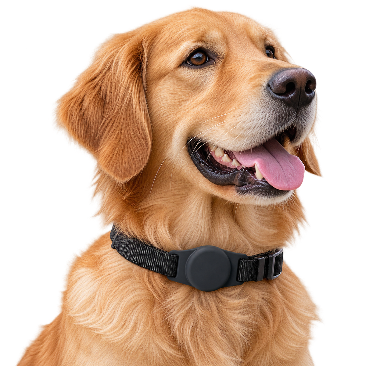 Rastreador Inteligente para Mascotas