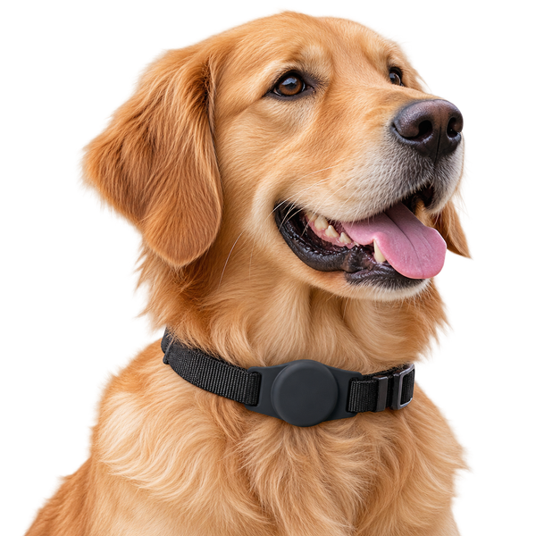 Rastreador Inteligente para Mascotas